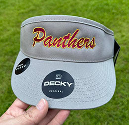 PANTHERS VISOR